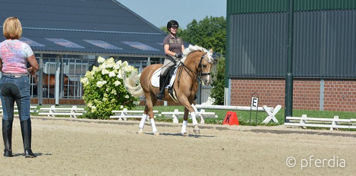 Fliegende-Galoppwechsel Galoppwechsel-reiten