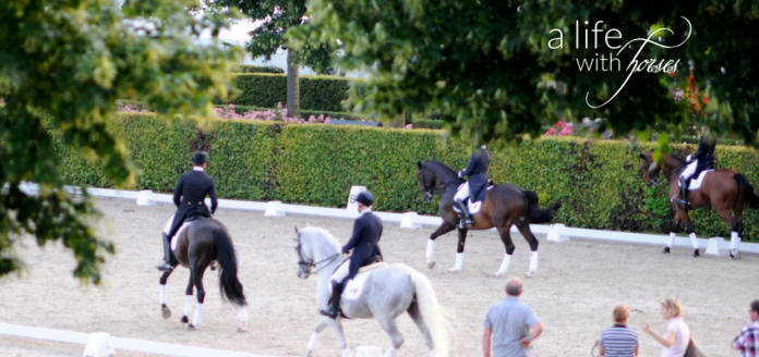 reiten-verbessern-sitz reitersitz-verbessern