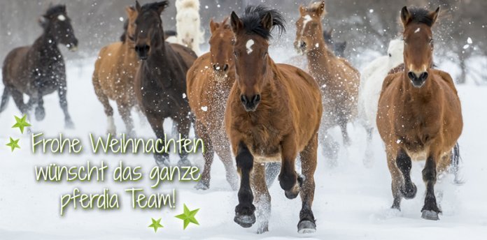 Pferde-im-Schnee frohe-Weihnachten