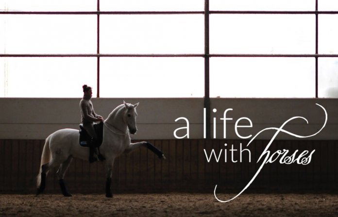 Komfortzone-beim-Reiten Reiten-Komfortzone