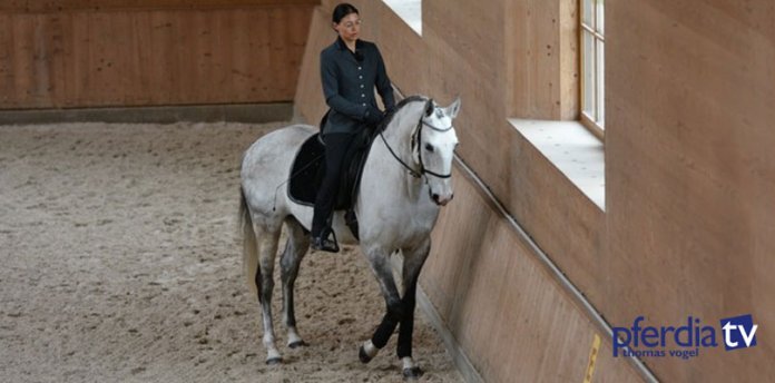 Anja-Beran-auf-Lusitano-Bue-im-Travers Lusitano-Bue-mit-Anja-Beran