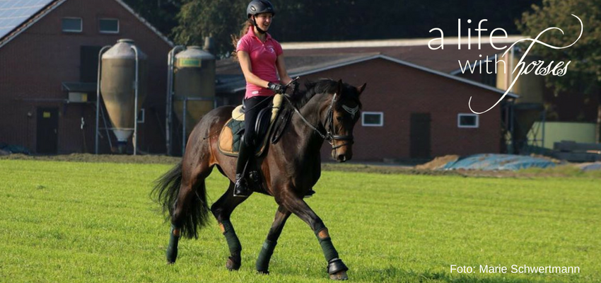 lisa-roeckener-reiten