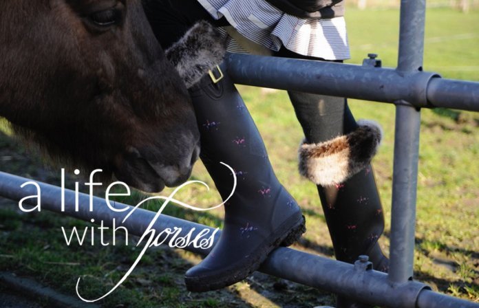 Frühling-mit-dem-Pferd Frühling-weniger-Matsch