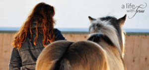 Pferd-Tod-was-sagen