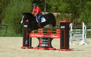 ruhiges-Springen-im-Parcours