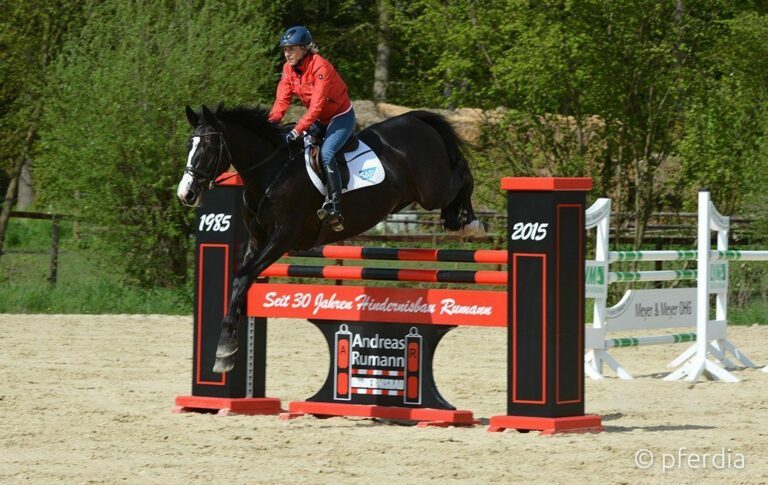 ruhiges-Springen-im-Parcours
