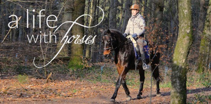 Ausreiten-im-Wald Ausreiten-und-Dressur-verbinden