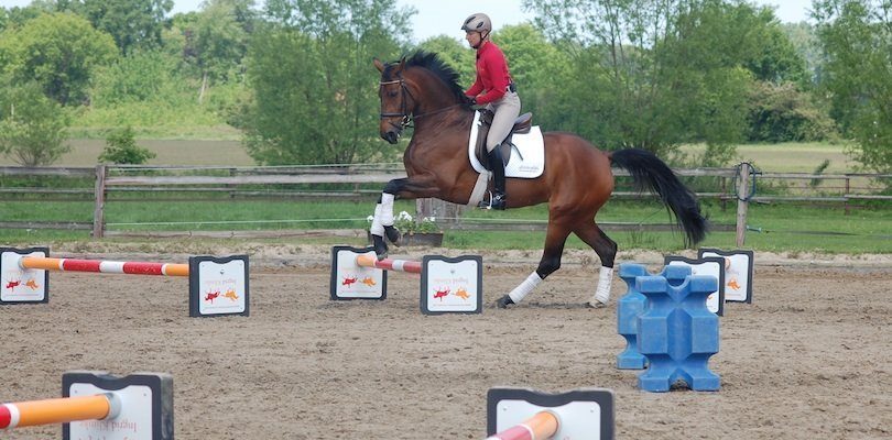 Cavaletti-auf-dem-Zirkel Training-für-den-Parcours