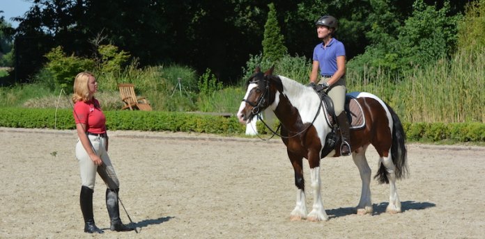 Pferd-Harry-im-Unterricht Pferde-Britta-Schöffmann