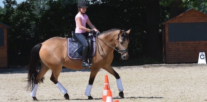 Reiten-mit-Pylonen Dr-Britta-Schöffmann-reiten-mit-Pylonen