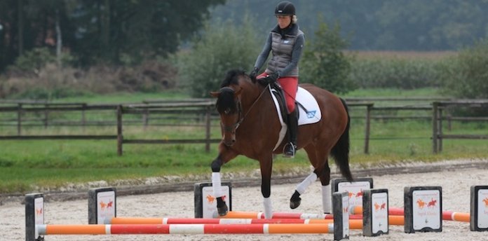 Cavalettiarbeit-Ingrid-Klimke Ingrid-Klimke-bei-der-Arbeit