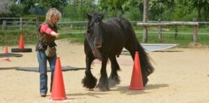 Slalom-mit-dem-Pferd