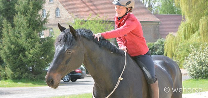 Halsring_gebisslos_Klimke