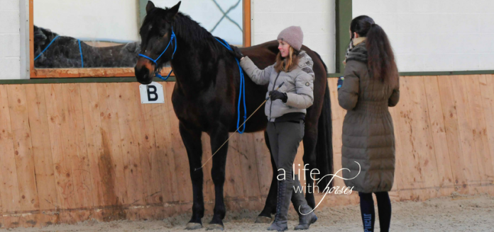 Horsemanship_Lisa_Roeckener_Alifewithhorses