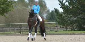 Ingrid Klimke Franziskus Volte reiten