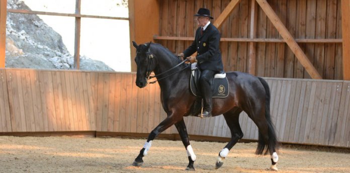 Reitmeister-Philippe-Karl Interview-mit-Philippe-Karl