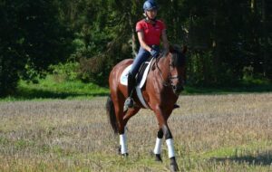 Ausreiten-mit-Ingrid-Klimke