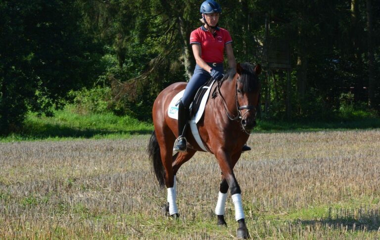 Ausreiten-mit-Ingrid-Klimke