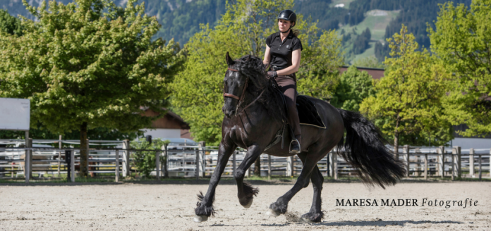 Claudia_Butry_Reitkurs_Dressurausbildung
