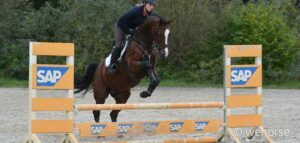 Springreiten Steilsprung Training
