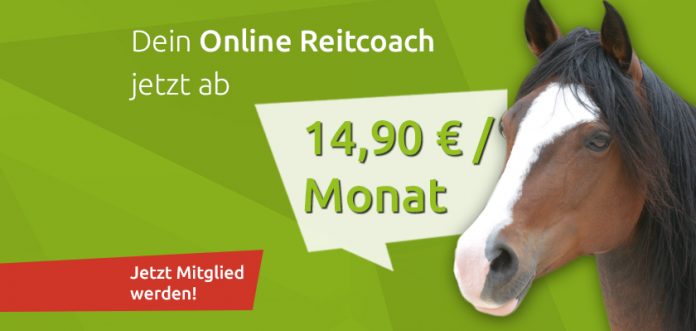 preisumstellung