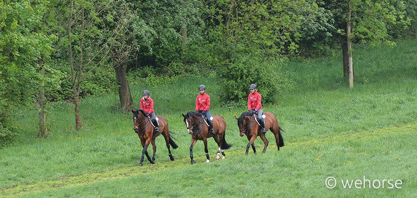 Reiten am Berg sollte auf dem Trainingsplan stehen