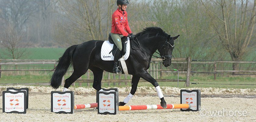 Ingrid Klimke beim Cavaletti-Training