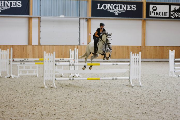 wehorsewednesday-distanzen distanzen-wehorsewednesday