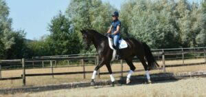 Aussitzen Reiten Lernen Ingrid Klimke