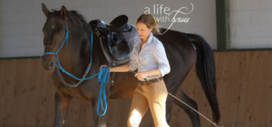Freiheitsdressur Horsemanship