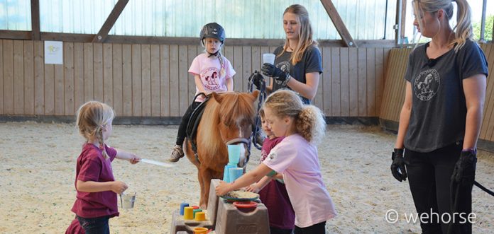 ponyschule-reitunterricht-anfänger