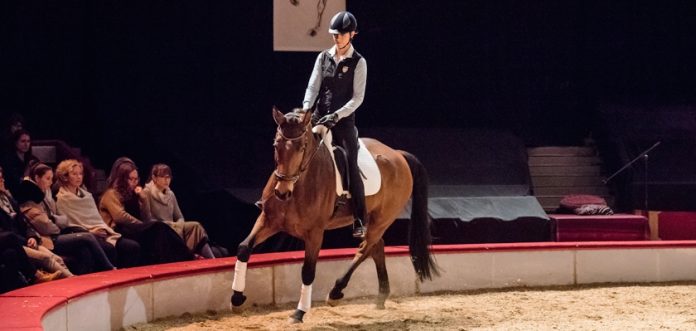 Anja-Beran-Warmblut