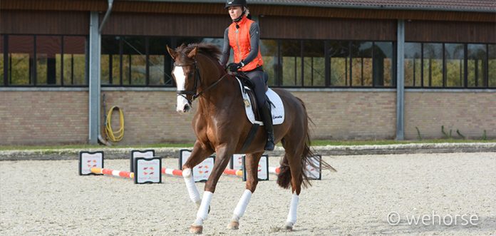Galopp-Klimke-Umspringen