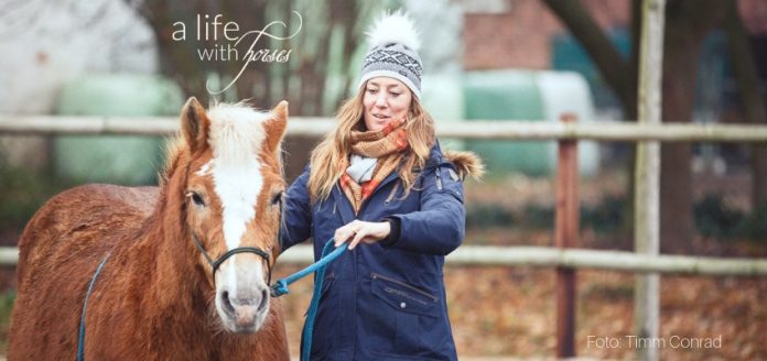horsemanship-sarah-brummer