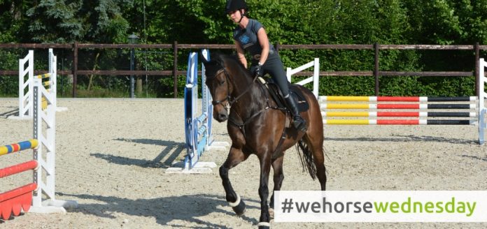 wehorsewednesday Gewichtshilfen