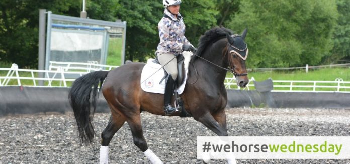 wehorsewednesday Stellung und Biegung