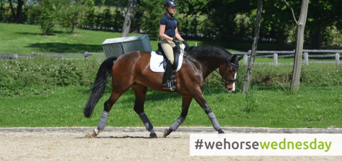 wehorsewednesday_3734