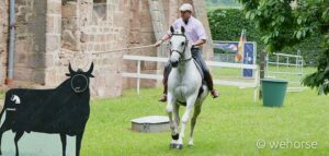 Working Equitation