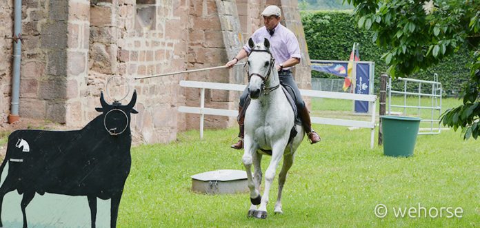 Working Equitation Working Equitation