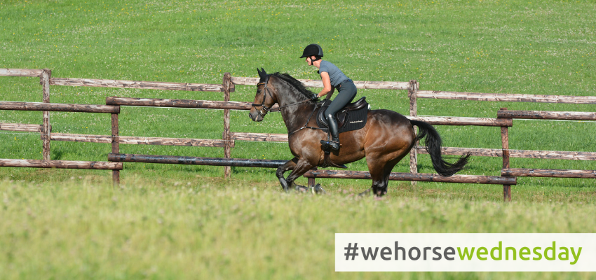 Vielseitigkeitsreiten