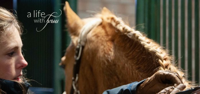 Reitpony-Mentaltraining-Reitsport