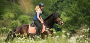 sparen mit ridersdeal