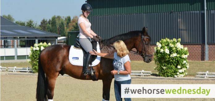 wehorsewednesday-einwirkung Wirkst du richtig ein?