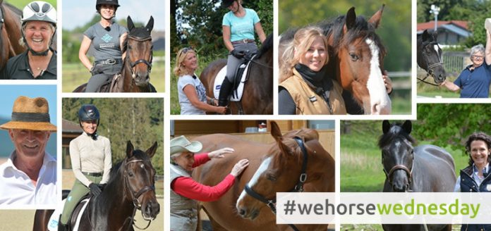 Best of wehorse 2018