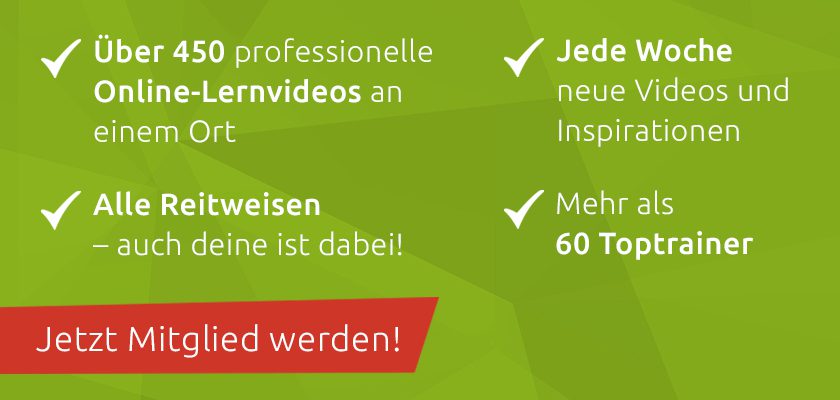 Jetzt anmelden!