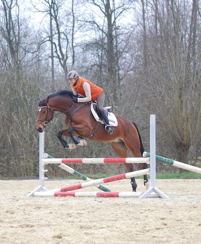 Just-Paul-im-Wintertraining Springen-mit-Ingrid-Klimke
