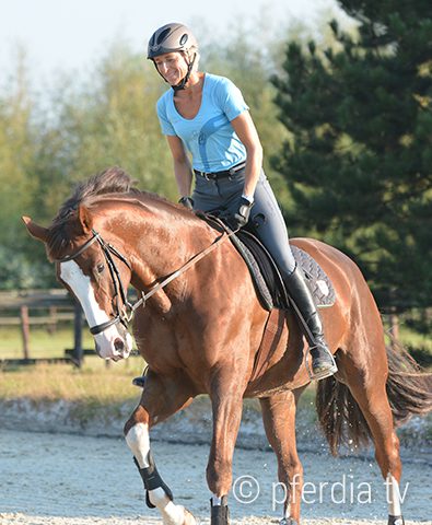 ingrid-klimke-geraldine dressur-wiesbaden