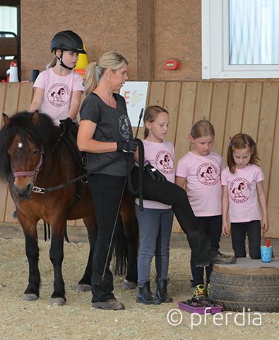team-pony-concept kinder-lernen-reiten