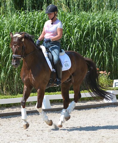 britta-schoeffmann-reiten fliegende-wechsel-britta-schoeffmann