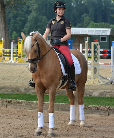 Pony-Golden-Moon Pony-von-Britta-Schöffmann